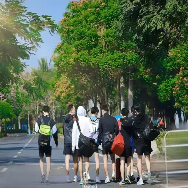 王曼昱伤病恢复进展备受关注